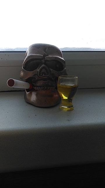 VID_20260201_143928.mp4