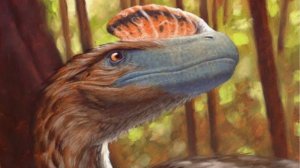 выживание за гуаньлона /the cursed isle