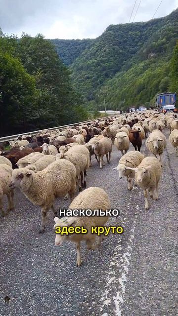 900 км за 30 секунд #архыз #стройка #live #глэмпинг 

Где нас найти ?! - Напиши в поисковике слово 