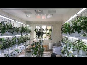 Хойи. В гостях у Натальи. Город Волжский. Новинки.