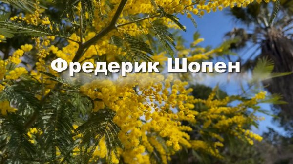 Фредерик Шопен. Ноктюрн №1, классическая музыка. Музыка для души