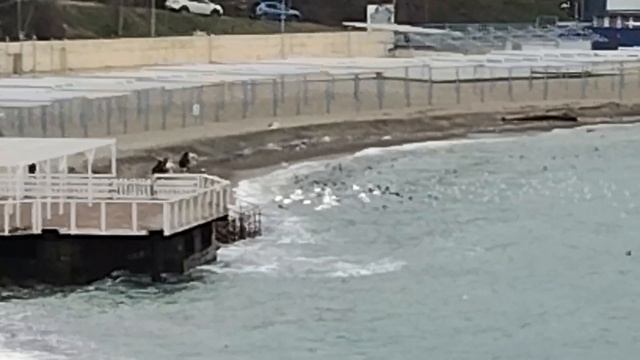 Анапа. С февралëм пришло резкое похолодание. Набережная. 1 февраля 2026. смотреть онлайн