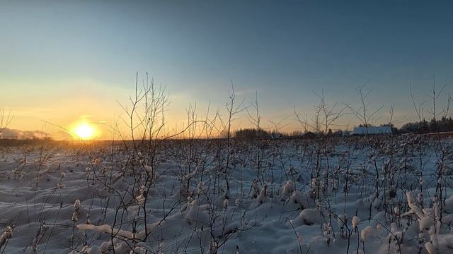 Прогулка 01.01.2026 смотреть онлайн