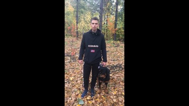 Игорь Алтайский. Отзыв.