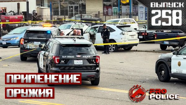 Применение оружия полицейскими: Везучий [Выпуск 258 2026]