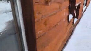 01.02.2026 Наше солнышко потребовало проходкувольер 4