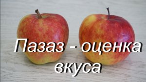 Сорт яблони Пазазз (Pazazz) - оценка вкуса