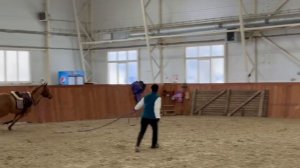 Партнёр! Прыжок в стиле ласточки° -лететь легко и свободно!