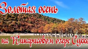 Анапа, октябрь. Кипарисовое Озеро & Озеро Сукко с Кипарисами, окрашенными в яркий багрянец!