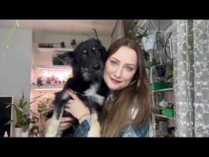 Обзор стеллажей. 21.01.2026