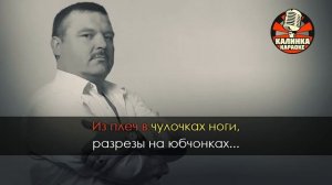 Караоке Михаил Круг - Пусти меня ты, мама