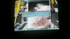 IVA: #5 - Online Anomaly (2000) "Downsizing" (1996)