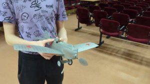 F4D зальные резиномоторные копии самолётов, авиамодельный класс F4D, авиамоделирование, авиамоделизм