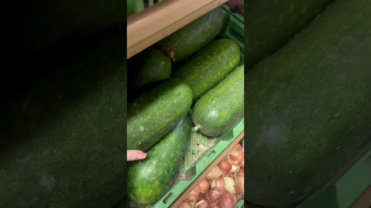 Гори жопа скоро! смотреть онлайн