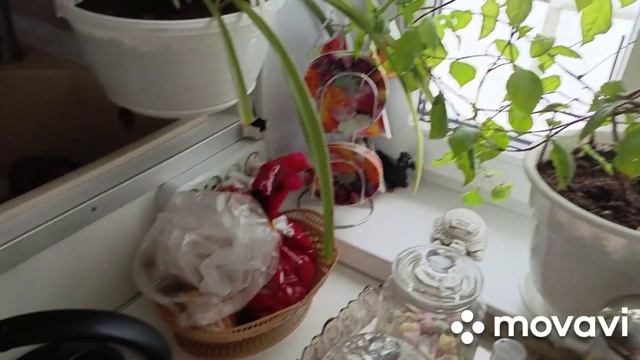 1 февраля боремся со снегом.Готовлю суп,жарю котлеты смотреть онлайн