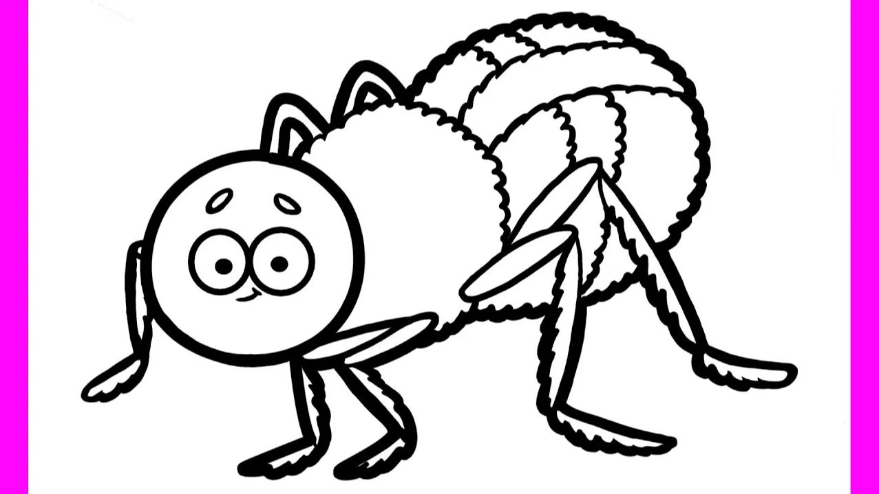 Мультик - раскраска для детей ПАУЧОК. Учимся как рисовать НАСЕКОМЫХ // Мультики для детей и малышей смотреть онлайн