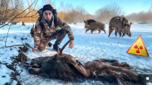 Поход Зимой В Чернобыльскую Зону! Что я нашёл! Логово диких кабанов