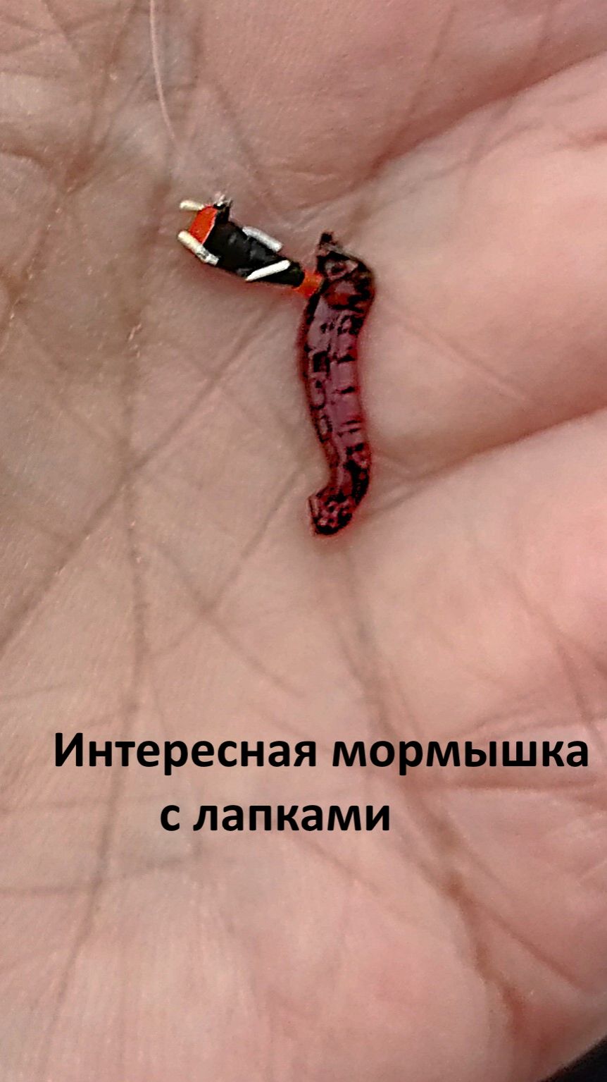 Тест. Новая мормышка в глухозимье смотреть онлайн