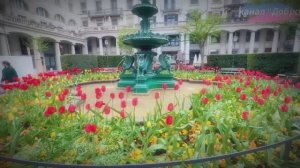 Цюрих, Швейцария 🇨🇭 — самый удивительный город в мире!