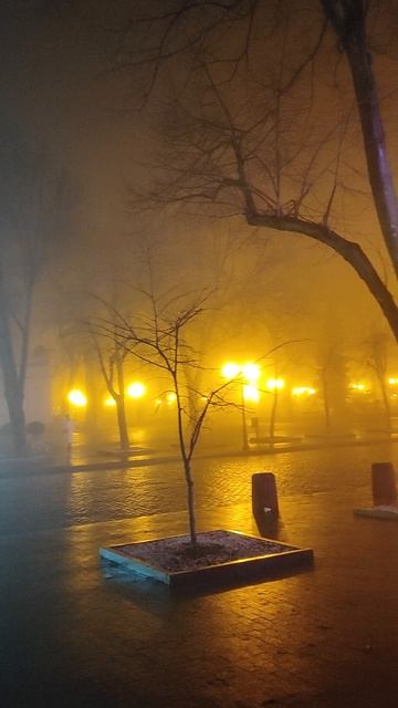 На Дерибасовской туман. Трудовые будни уличного скрипача 🎻❄️