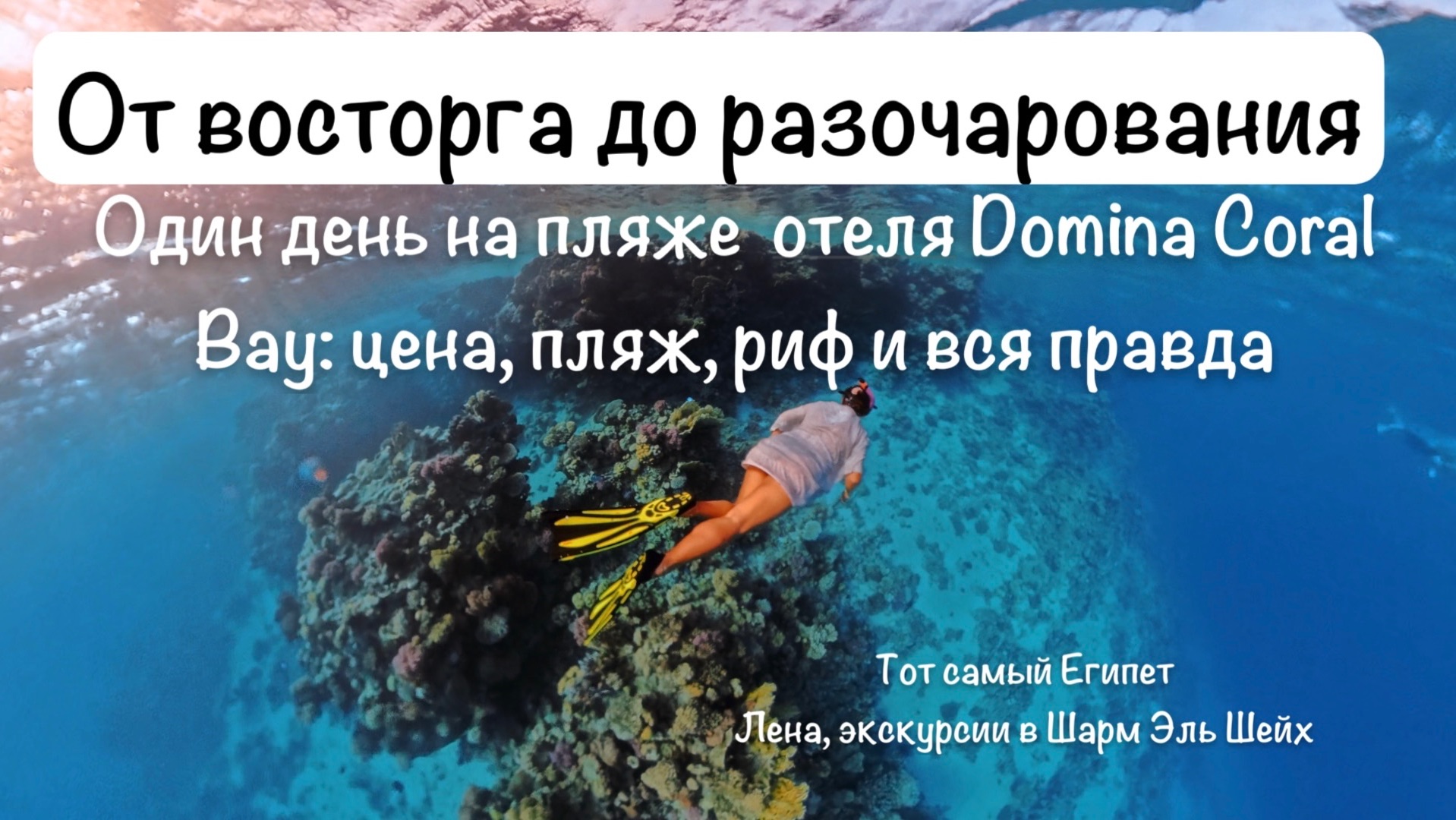 Один день в отеле Domina Coral Bay | Day Use в Шарм-эль-Шейхе. Топ экскурсий в Шарм Эль Шейх. смотреть онлайн