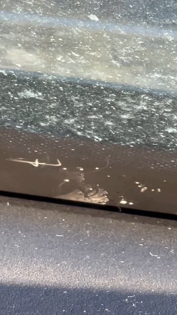 Печка справляется, но угол мерзнет? Разгадка ❄️