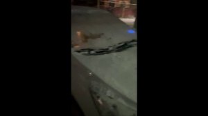 Первая новогодняя рабочая неделя.