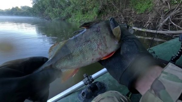 🔺️🎣ВЕЗУНЧИК🎣🔺️fishing#туризм#природа#ловля#рыбалка#щука#ловлящуки#ночевка#Чулым#река#спиннинг