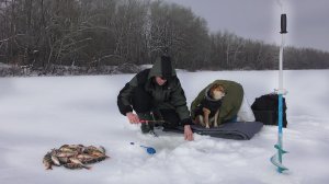 Окунь АТАКУЕТ С КАЖДОГО ЗАБРОСА! РЫБАЛКА ЗИМОЙ.