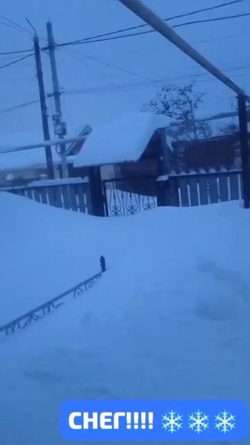 Снег кружится и вьюжится, летает  и не тает