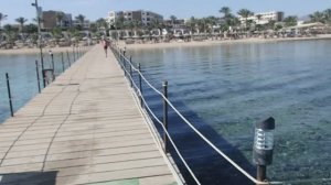 Royal Brayka 1-02-26, 9.30