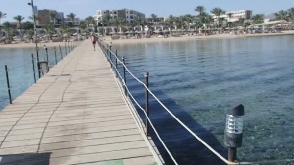 Royal Brayka 1-02-26, 9.30