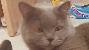 это пока что секрет посмотрите чтобы понять, что я буду делать.