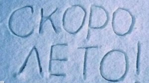 Где-то, лето...