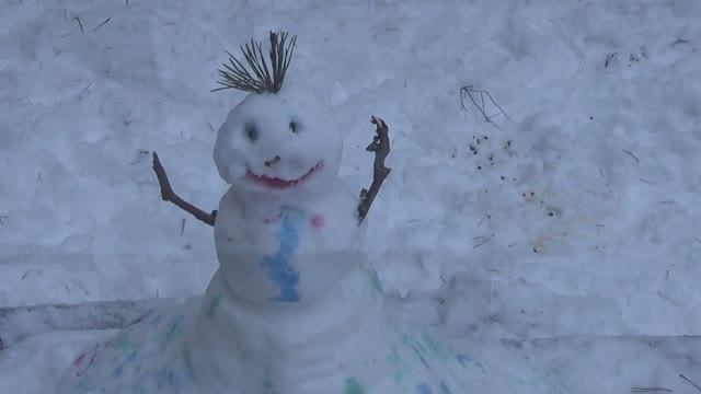 Оларёвская гряда.Выезд в зимний лес.(Вологда, ноябрь 2017)