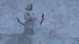 Оларёвская гряда.Выезд в зимний лес.(Вологда, ноябрь 2017)