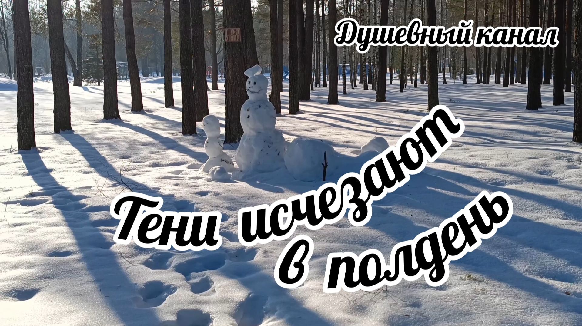 ТЕНИ ИСЧЕЗАЮТ В ПОЛДЕНЬ