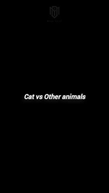 Пушистые непоседы. смотреть онлайн