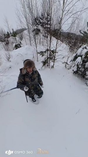 поиск следов присутствия тетеревов