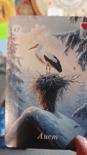 22-02-2026года.Карта дня смотреть онлайн