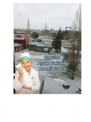 Евангелие от Матфея до 25 главы. Читает Илья Прудовский.