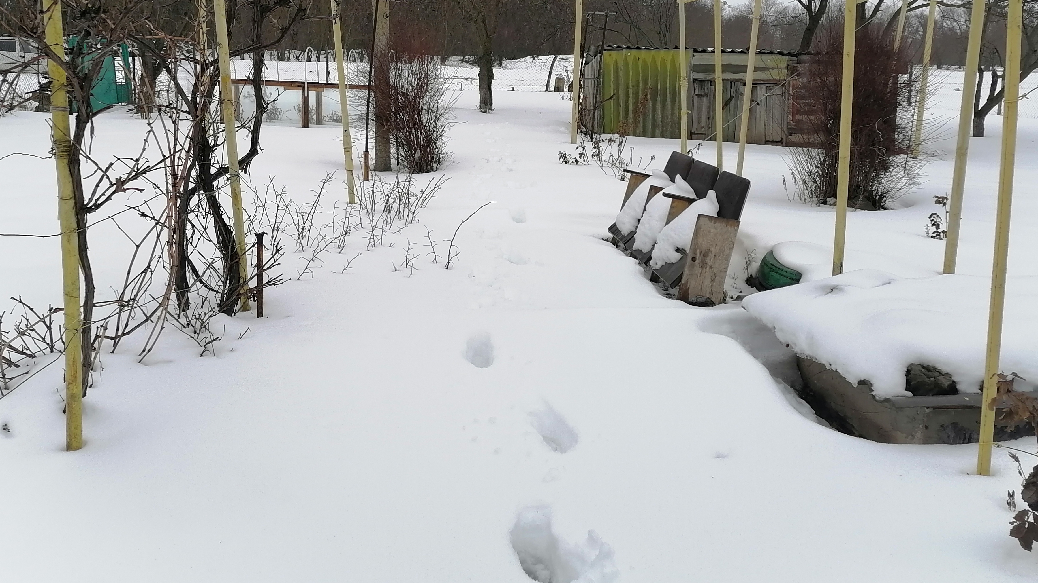 О новой работе / Зима в Ростове / Поехали на дачу / Влог