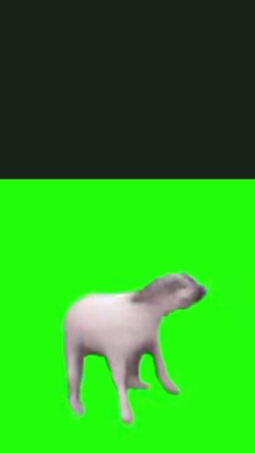 🤣🤣🤣🤣🤣🤣🤣🤣🤣