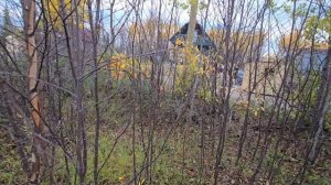 Участок в Шонгуе