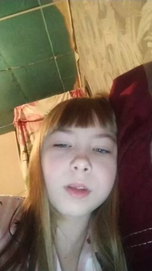 строим дом для бумажных собак