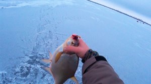 ЗИМНЯЯ РЫБАЛКА НА ВВ ВОДОХРАНИЛИЩЕ!!!!