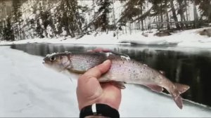 Клип. Сумка на плечо. Болен рыбалкой- лечиться не буду! Глухозимье, февраль, ждем открытия сезона.