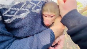 Люся ТАК ОБРАДОВАЛАСЬ встрече с Соней, что даже в сторону Влада не смотрит!