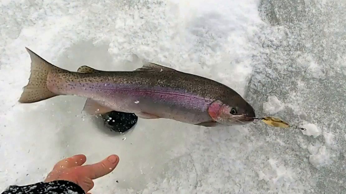 КАМЧАТКА - Рыбацкий рай #11 Новый день Новые места Клёвая рыбалка смотреть онлайн