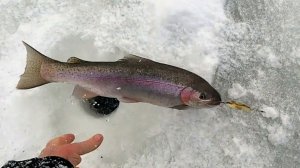 КАМЧАТКА - Рыбацкий рай  #11  Новый день  Новые места  Клёвая рыбалка